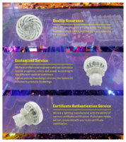 Aglare Led Lighting Venta al por mayor AC24V Funfair Rides Amusement LED Point Lights