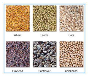 ציוד עיבוד תבואה מתקדם sorter צבע זרעי שומשום פנינה עורה - Product Image 5