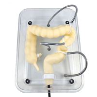 Modèle KyrenMed Colon Modèle de formation Coloscopie Modèle de formation Coloscopie virtuelle souple Simulateur de modèle de formation pour la formation médicale en soins infirmiers