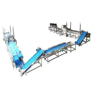 1000kg/hr Auto Frozen Pitaya Dragon Fruit Production Line IQF Freezing Fruit Making Machine Freeze Dried Fruit Processing Line