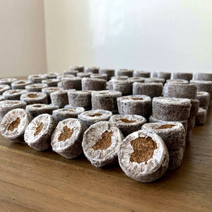 Eco2go Vietnam - Bloques de Fibra de Coco Orgánica Biodegradables para Cultivo de Plantas y Jardinería - Product Image 1