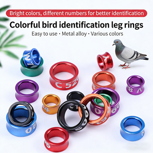 Wholesale Customized Pigeon <strong>Rings</strong> with Bright Colors <strong>for</strong> Easy Identification Racing Pigeon <strong>Rings</strong> Tracking Pigeon <strong>Leg</strong> <strong>Rings</strong> - Product Image 1