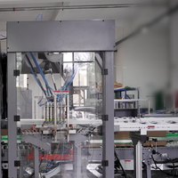 Machine d'emballage robotisée 3 axes pour bâtonnets de crème glacée, équipement de cartonnage automatique à la fin de ligne pour aliments surgelés