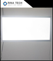 Plaque diffuseur optique en polypropylène PP durable et flexible Rina Tech, épaisseur personnalisable, protection UV, 1200x2400mm, Guangdong