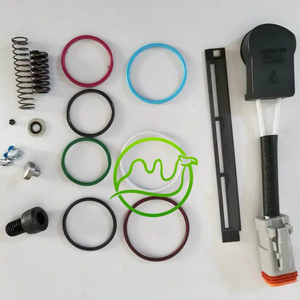 燃料ポンプコモンレールインジェクター修理キットN14/M11 - Product Image 2