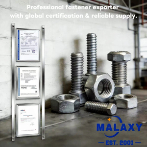 Malaxy en stock, livraison rapide, acier au carbone galvanisé, vis autotaraudeuse à tête fraisée, insert en plastique, cheville d'expansion en nylon - Product Image 5