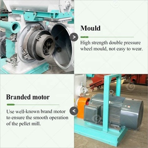 Palm hạt nhân Vỏ Châu Âu lớn Nhà máy sản xuất dòng điện gỗ gạo rơm bã mía PELLET làm cho giá máy ở Uganda - Product Image 4