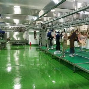 Macchina completa per macellazione ovini/caprini attrezzatura per la lavorazione della carne di macello con macchina per l'estrazione della pelle - Product Image 5