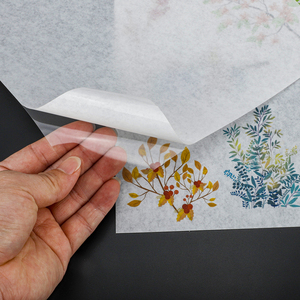 Bán buôn máy in phun có thể in A3 A4 Nhật Bản Washi mờ mờ mờ Truy Tìm Sticker giấy với rõ ràng nhựa ủng hộ - Product Image 2