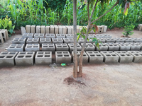Machine mobile de fabrication de blocs de béton Dalette – Prix en Inde