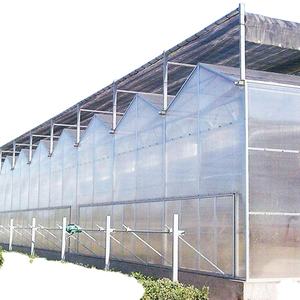 Grande <span class=keywords><strong>Serre</strong></span> Agricole Sainpolyisrael à Cadre Métallique Moderne pour Système Hydroponique, <span class=keywords><strong>Serre</strong></span> Tunnel pour Semences de Tomates, Thaïlande - Product Image 2