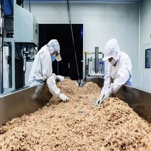 Uienflakes groothandel uit de fabriek, luchtgedroogde rode ui, lage prijs voor export - Product Image 1