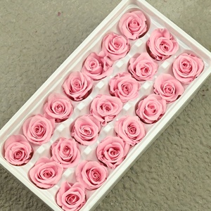 Rosa Eterna Stabilizzata Grado B 2-3cm per Cupola di Vetro Fai da Te, Materiale per Teste di Fiori per San Valentino, Capodanno Cinese, Ringraziamento - Product Image 3
