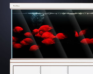 Op maat gemaakte grote Arowana-visbak van glas - Product Image 3