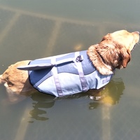 Maillot de bain et gilet de sauvetage pour chien sirène requin, design personnalisable européen-américain, vêtements de natation d'été pour animaux de compagnie