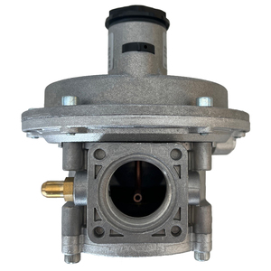 Régulateur de gaz naturel pneumatique Madas FRG/2MCS, petite vanne de réduction de pression pour usine avec filtre FCS040000 DN25 - Product Image 6