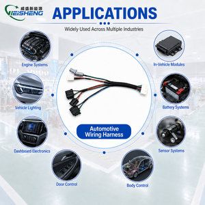 <span class=keywords><strong>สาย</strong></span><span class=keywords><strong>ไฟ</strong></span>รถยนต์แบบกำหนดเอง OEM ODM พร้อมฉนวน PVC และตัวนำทองแดงแบบยืดหยุ่น - ผู้ผลิตโดยตรง - Product Image 2