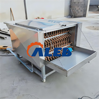 Machine professionnelle d'échaudage et d'épluchage de volailles en acier inoxydable, machine d'abattage de poulets pour abattoirs