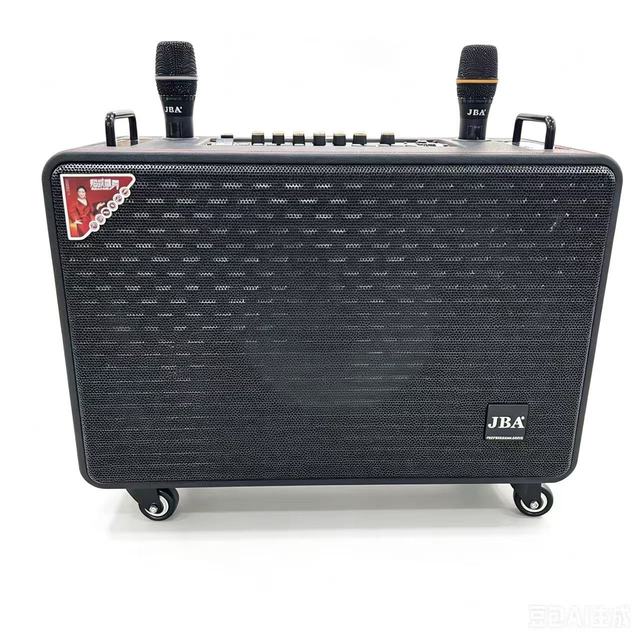 H15A-12 Portable Party Speaker High Power Indoor Outdoor Karaoke Sound  Long Endurance Battery Wireless Microphone Audio