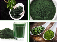Poudre d'algues naturelles de haute qualité poudre de spiruline de qualité alimentaire