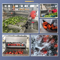 Bevroren Groenten Verwerking Lijn Groente Bubble Cleaning Machine Lijn Fruit En Groente Productielijn