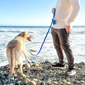 <span class=keywords><strong>Collar</strong></span> de perro impermeable y ligero para compañeros caninos activos para quienes aman nadar y correr Material plástico duradero - Product Image 5