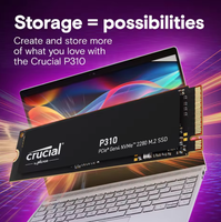 Vente en gros P310 1 To PCIe Gen4 NVMe 2280 M.2 SSD interne 6000 Mo/s Vitesse pour PC de jeu de bureau