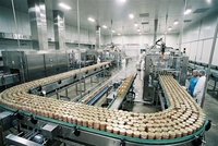 LWT Automatische Mayonaisevulmachine, productielijn voor ingeblikt voedsel, verpakkingsapparatuur van roestvrij staal voor voedselfabrieken