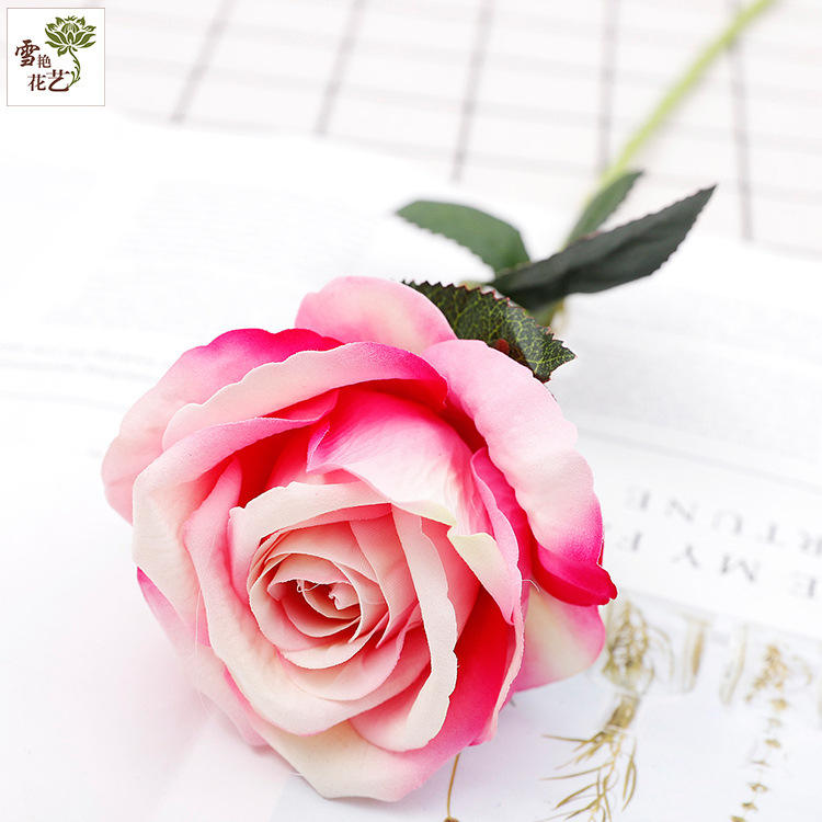 สีชมพูอ่อน