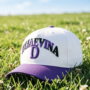 Gorra de Béisbol Personalizada, Gorra Trucker, Gorra de 5 Paneles con Bordado 3D, Gorra Snapback Deportiva Ajustable Unisex - Product Image 6
