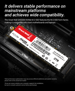SSD Great Wall GW3300 NVMe M.2 2280 PCIe Gen3 128GB-2TB 3D NAND TLC Kecepatan Baca 3300MB/s Garansi 5 Tahun Bersertifikasi CE/FCC - Product Image 3