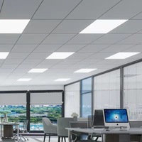 Promotion : Panneau lumineux LED ultra-fin à cadre en aluminium, à montage en surface, éclairage périphérique, dimmable, IP20, garantie 5 ans, 2x2/2x4, pour intérieur