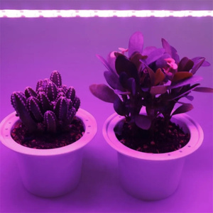 High Brightness Linear Lighting with meter Patch 2835 Waterproof Tira De <strong>Luces</strong> LED <strong>Grow</strong> Plant Strip Lamp - Product Image 5