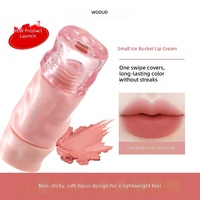 Gloss à lèvres liquide vegan mat velours, imperméable, permanent, anti-transfert, avec logo personnalisé