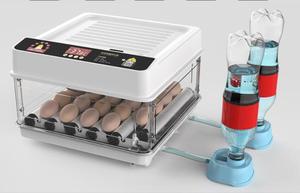 Incubateur automatique intelligent pour petits animaux domestiques, poulets, canards, oies, pigeons, paons, perroquets - Product Image 5