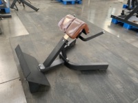 Banc de musculation commercial pour extensions dorsales, chaise romaine pour l'entraînement des muscles abdominaux et l'étirement du dos