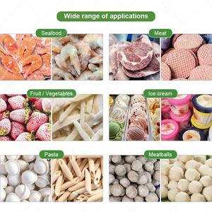 Mariscos Iqf Equipo Italiano Pequeño Acero Inoxidable Industrial 10x10 Enfriador <span class=keywords><strong>Barato</strong></span> y Congelador - Product Image 6