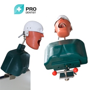 Advanced Phantom Head / <strong>Dental</strong> teaching <strong>simulator</strong> <strong>unit</strong>/oral teaching models - Product Image 2