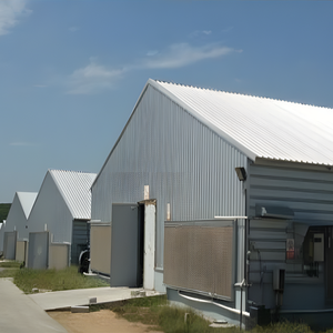 Poulailler à cadre en acier de style ferme pour l'élevage de poulets de chair à la ferme - Product Image 4