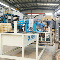 Machine fiable de haute précision pour la fabrication de barquettes à œufs, moulage d'alvéoles, production intensives et efficaces