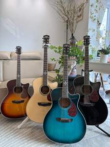 Bullfighter D2XA 6-<b>String</b> Acoustic Guitar Solid Mahogany <b>Top</b> 6 Steel <b>Strings</b> Fingerboard Sapele Back/Sides - Product Image 5