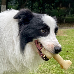 पालतू काटने के प्रतिरोधी सिमुलेशन हड्डी चउ खिलौना आउटडोर प्रशिक्षण कुत्ते चउ टीईथिथिथिथिथिथिंकिंग स्टिक फैक्टरी प्रत्यक्ष बिक्री - Product Image 2