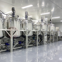 Mélangeur Émulsifiant Homogénéisant Sous Vide de Qualité Alimentaire, Usine de Production de Sauce Tomate, Machine à Mayonnaise
