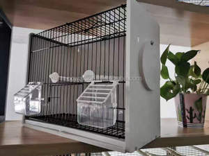 Vente en gros de cages à oiseaux KWS <span class=keywords><strong>Cage</strong></span> en fer de haute qualité pour perroquets et canaris <span class=keywords><strong>Cage</strong></span> pour oiseaux - Product Image 2