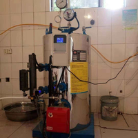 Venta Directa de Fábrica, Nueva Caldera Industrial Vertical de Agua Caliente para Calefacción de Piscinas