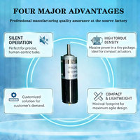 Moteur à engrenages CC miniature personnalisé 22 mm 6 V, bobinage sans noyau, 0,3 Nm, 200 tr/min, couple élevé, PFM-22P, micro-moteur à engrenages pour stores automatiques