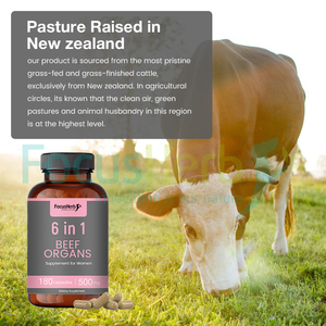 FocusHerb OEM Santé Féminine 6 en 1 Capsules Supplément d'organes de bœuf nourri à l'herbe - Product Image 5
