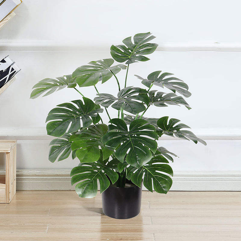 Dos de tortue nordique 70cm