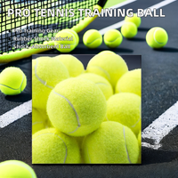 Balle de tennis professionnelle écologique à haute élasticité et durable, diamètre 65 mm, rebond 135-145 cm, poids 50 g, marque OEM, clubs sportifs