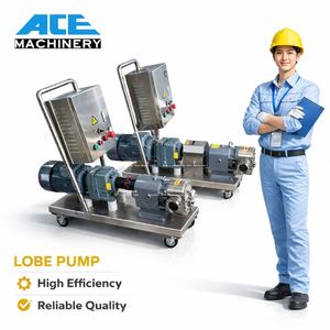 15HP 11KW ZB3A-100 Stainless Steel SS304 SS316L Single Wing Food Rotor Lobe Pump With Transferring High Viscosity Liquid - Product Image 4